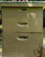 Langstroth Bee Hive 40 Frame 2 Deep 2 Medium Easy Installation Wood ...